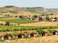 Carnuntum Wine Region