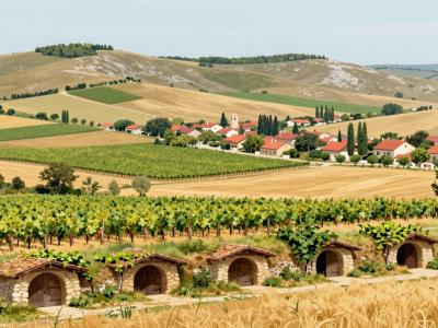 AI-generated illustration of the Carnuntum wine country with a traditional cellar lane