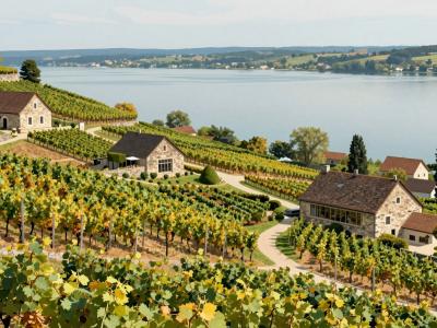AI-generated illustration of Wine Making Sites In Podersdorf Am See