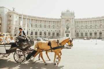 A horse-drawn carriage with two light-colored horses and a driver is moving across a paved plaza in front of a large, ornate classical building featuring a central triumphal arch and statues.