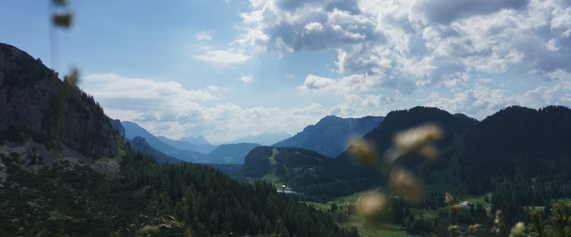 Herb Hikes