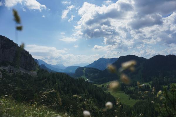 Herb Hikes