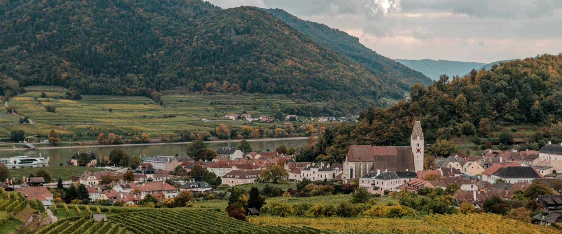 Wine and Heuriger Traditions