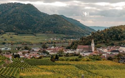A landscape photograph showing a village with a prominent church tower nestled in a valley, surrounded by terraced vineyards on the slopes and a river in the background.