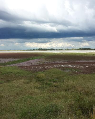 Salt lake and steppe grassland of the Seewinkel near Illmitz, Burgenland