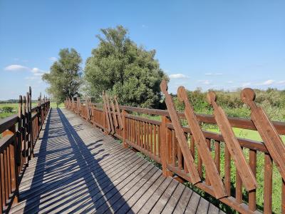 A wooden boardwalk or footbridge with distinctive decorative railings featuring angled, paddle-like posts, set in a flat, green landscape under a blue sky.