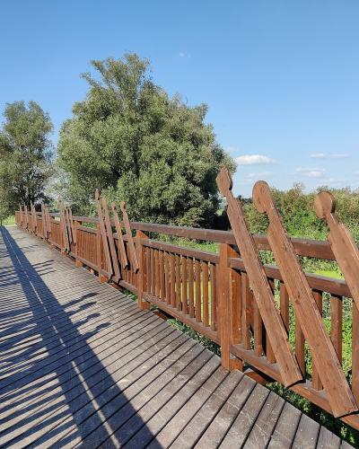 A wooden boardwalk or footbridge with distinctive decorative railings featuring angled, paddle-like posts, set in a flat, green landscape under a blue sky.