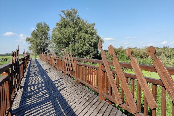 Bridge at Andau
