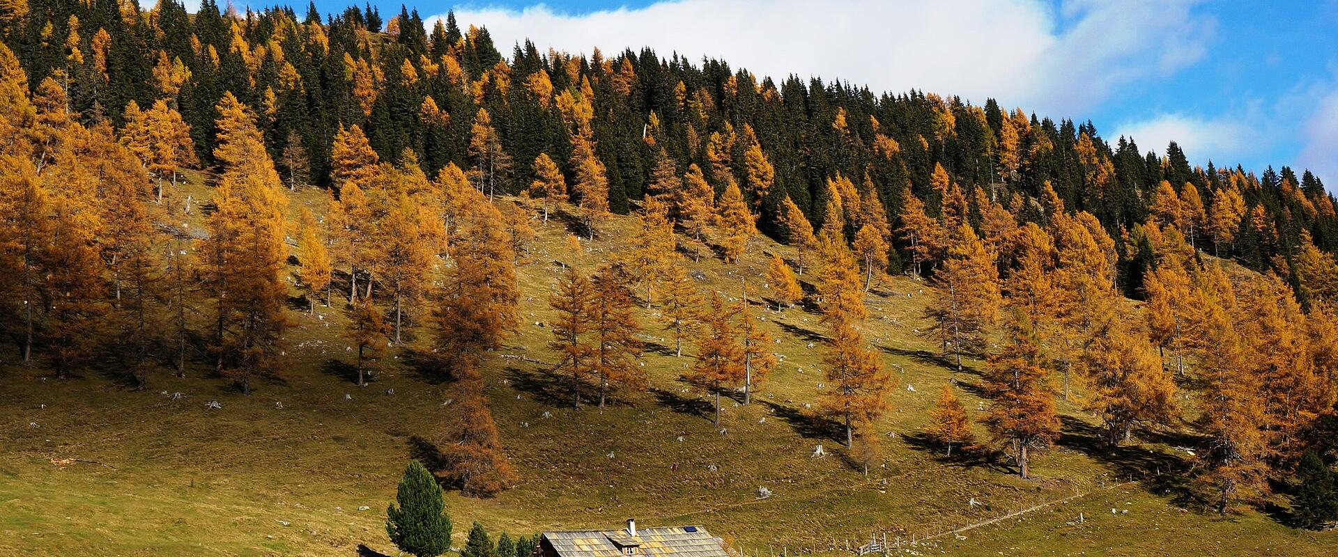 Nockberge Biosphere Reserve