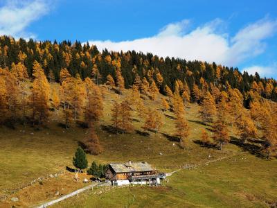 Autumn larch forest and alpine hut in the Nockberge Biosphere Reserve, Carinthia