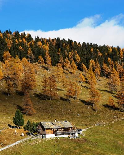 Autumn larch forest and alpine hut in the Nockberge Biosphere Reserve, Carinthia