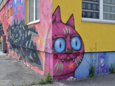A large-scale mural of a pink cat with blue eyes painted on the corner of a building, alongside other graffiti art and a portrait of a man on a blue wall section.
