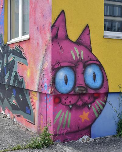 A large-scale mural of a pink cat with blue eyes painted on the corner of a building, alongside other graffiti art and a portrait of a man on a blue wall section.