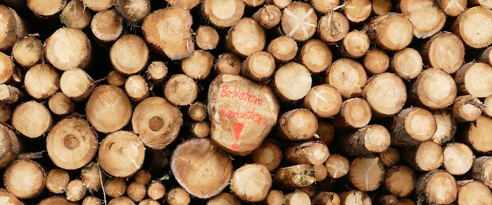 A close-up, top-down view of a large stack of cut timber logs, with one log in the center marked with red spray paint reading "Betreten Verboten" (German for "No Trespassing") and a red exclamation point.
