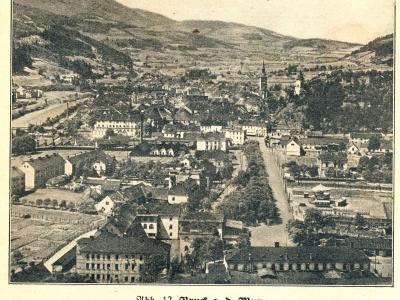 A vintage black-and-white panoramic photograph of a town nestled in a valley with hills in the background, featuring a prominent church spire and a long tree-lined avenue, with the caption "Abb. 12. Bruck a. d. Mur." at the bottom.