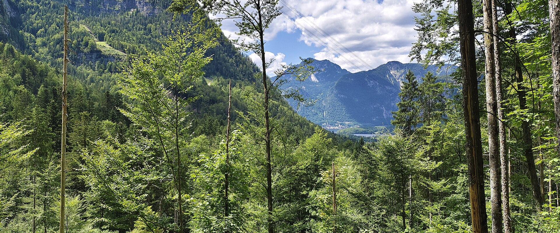 Summer Hiking Trails