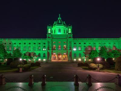 A grand, symmetrical historicist building with a central dome and flanking towers, illuminated in bright green light at night, viewed from across a paved plaza with bollards and chains in the foreground.