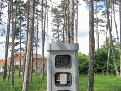 A grey, vertical outdoor book exchange cabinet (Bücherzelle) with three glass-fronted shelves filled with books, situated in a pine forest with a residential house visible in the background.
