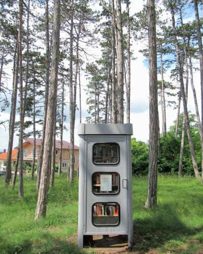 A grey, vertical outdoor book exchange cabinet (Bücherzelle) with three glass-fronted shelves filled with books, situated in a pine forest with a residential house visible in the background.