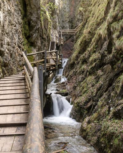 Wooden boardwalk and cascades in the Dr.-Vogelgesang-Klamm gorge, Spital am Pyhrn
