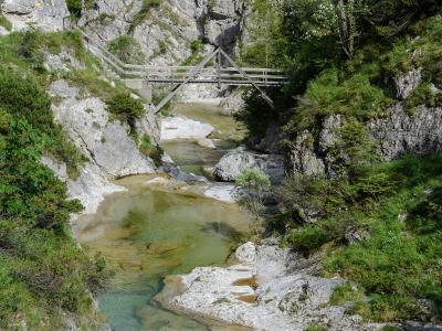Wooden footbridge over emerald pools of the Ötscherbach in the Ötschergräben gorge