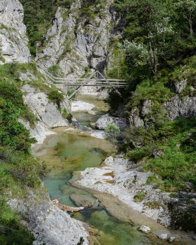 Wooden footbridge over emerald pools of the Ötscherbach in the Ötschergräben gorge