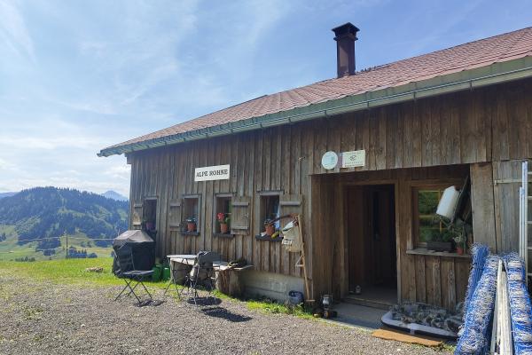 Local Dairy and Alpine Pastures