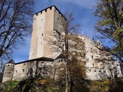 A large medieval stone castle with a prominent square tower, crenellated walls, and flags, viewed from a low angle through trees on a sunny day.