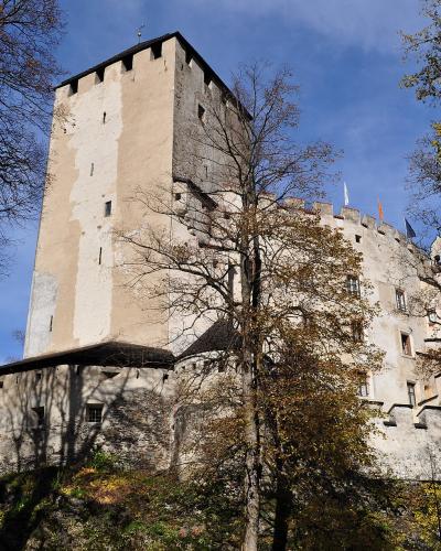 A large medieval stone castle with a prominent square tower, crenellated walls, and flags, viewed from a low angle through trees on a sunny day.