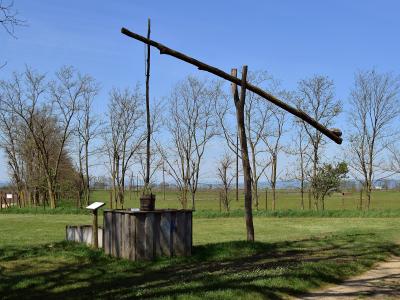 A wooden well structure with a long horizontal beam and bucket, situated in a grassy field with bare trees and a dirt path under a blue sky.