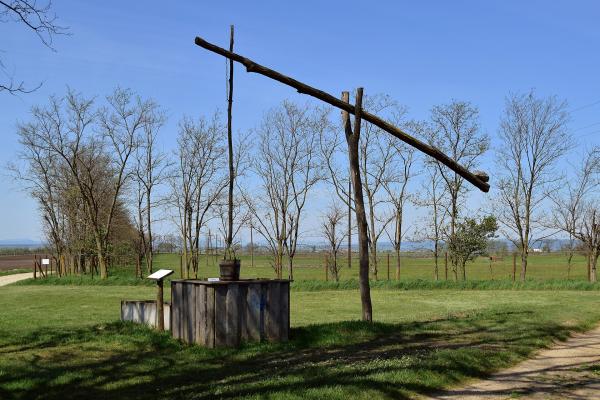 Neusiedler See (Lake Neusiedl)