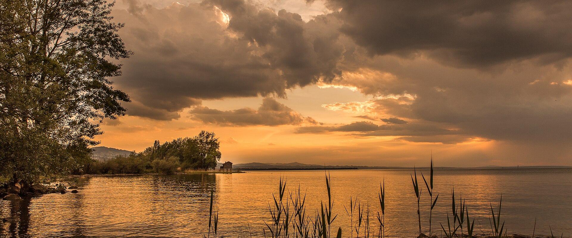 Rheindelta Nature Reserve
