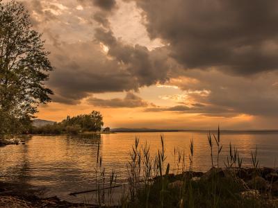 A landscape photograph showing a body of water at sunset or sunrise, with reeds in the foreground, trees on the left bank, and distant hills across the water.