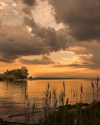 A landscape photograph showing a body of water at sunset or sunrise, with reeds in the foreground, trees on the left bank, and distant hills across the water.