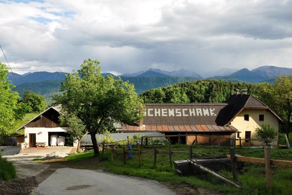 Buschenschanks Of Carinthia