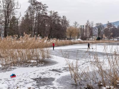A winter scene showing two people ice skating on a frozen body of water surrounded by tall reeds and bare trees, with a modern building visible in the background.