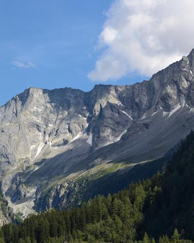 A view of a rugged, grey mountain peak with patches of snow and scree slopes, framed by green coniferous forests in the foreground and a blue sky with clouds above.