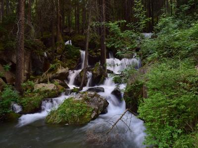 A long-exposure photograph of a cascading waterfall flowing over mossy rocks through a dense forest.