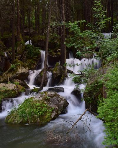 A long-exposure photograph of a cascading waterfall flowing over mossy rocks through a dense forest.