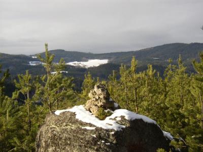 Granite boulders and pine forests near Weikertschlag in the Waldviertel, Lower Austria