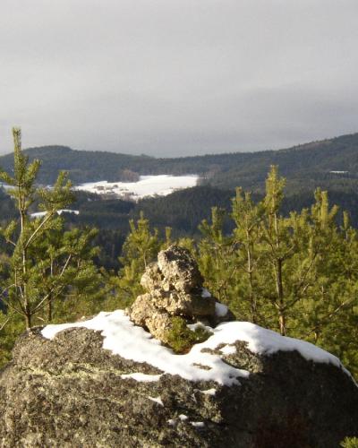 Granite boulders and pine forests near Weikertschlag in the Waldviertel, Lower Austria