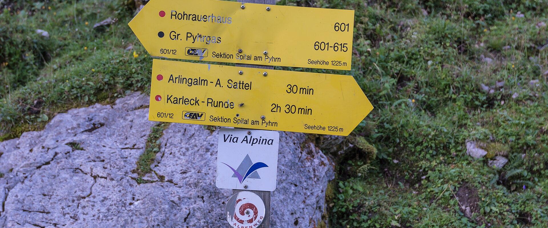 Alpine Pastures and Hiking Trails
