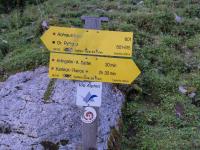 Alpine Pastures and Hiking Trails