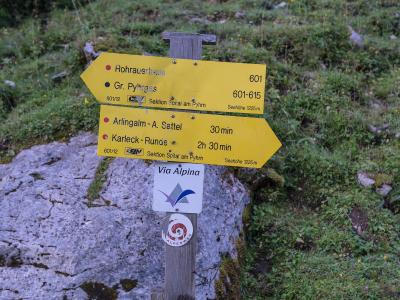 A wooden hiking trail signpost with yellow directional arrows pointing to destinations like "Rohrauerhaus," "Gr. Pyhrgas," "Arlingalm," and "Karleck-Runde," along with a "Via Alpina" sign, set against a grassy, rocky alpine slope.
