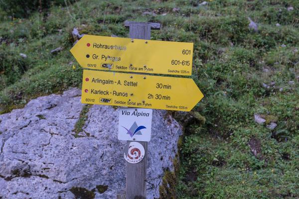 Alpine Pastures and Hiking Trails