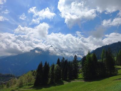 A landscape photograph showing a green alpine meadow with coniferous trees in the foreground and a range of snow-dusted mountains under a cloudy blue sky in the background.
