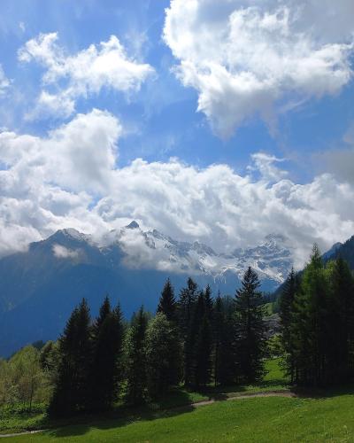 A landscape photograph showing a green alpine meadow with coniferous trees in the foreground and a range of snow-dusted mountains under a cloudy blue sky in the background.