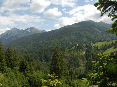 Forested slopes and mountain peaks of the Lesachtal Valley, Carinthia