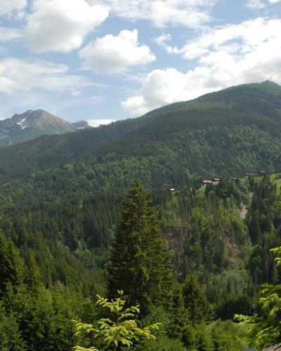 Forested slopes and mountain peaks of the Lesachtal Valley, Carinthia