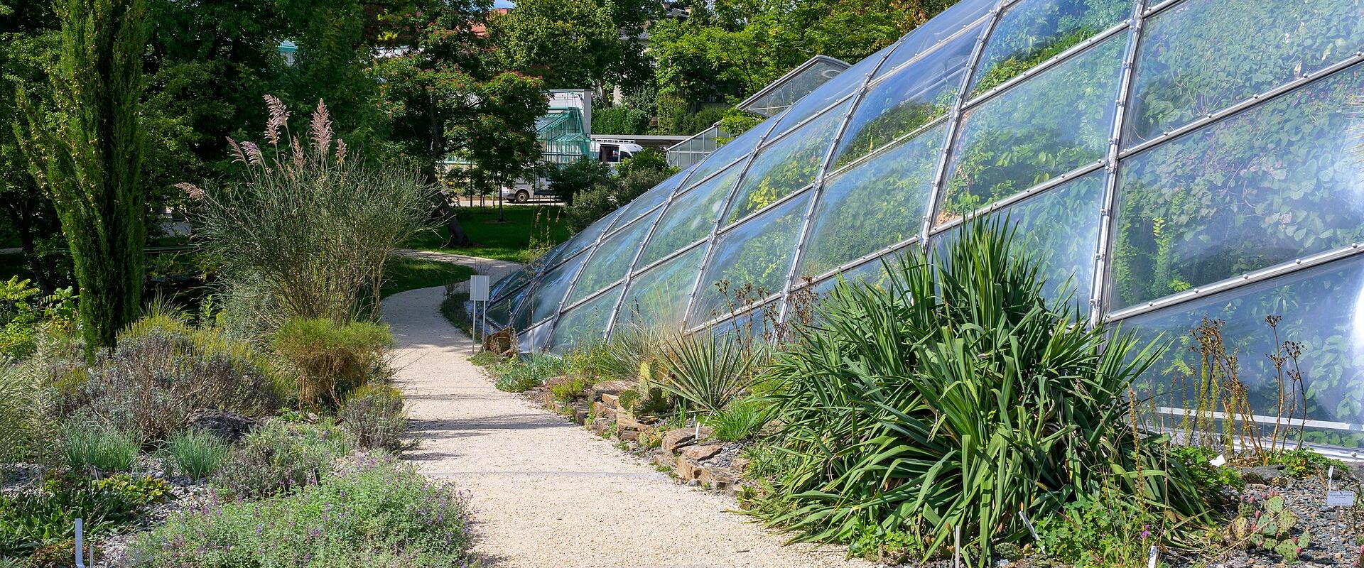 Botanischer Garten